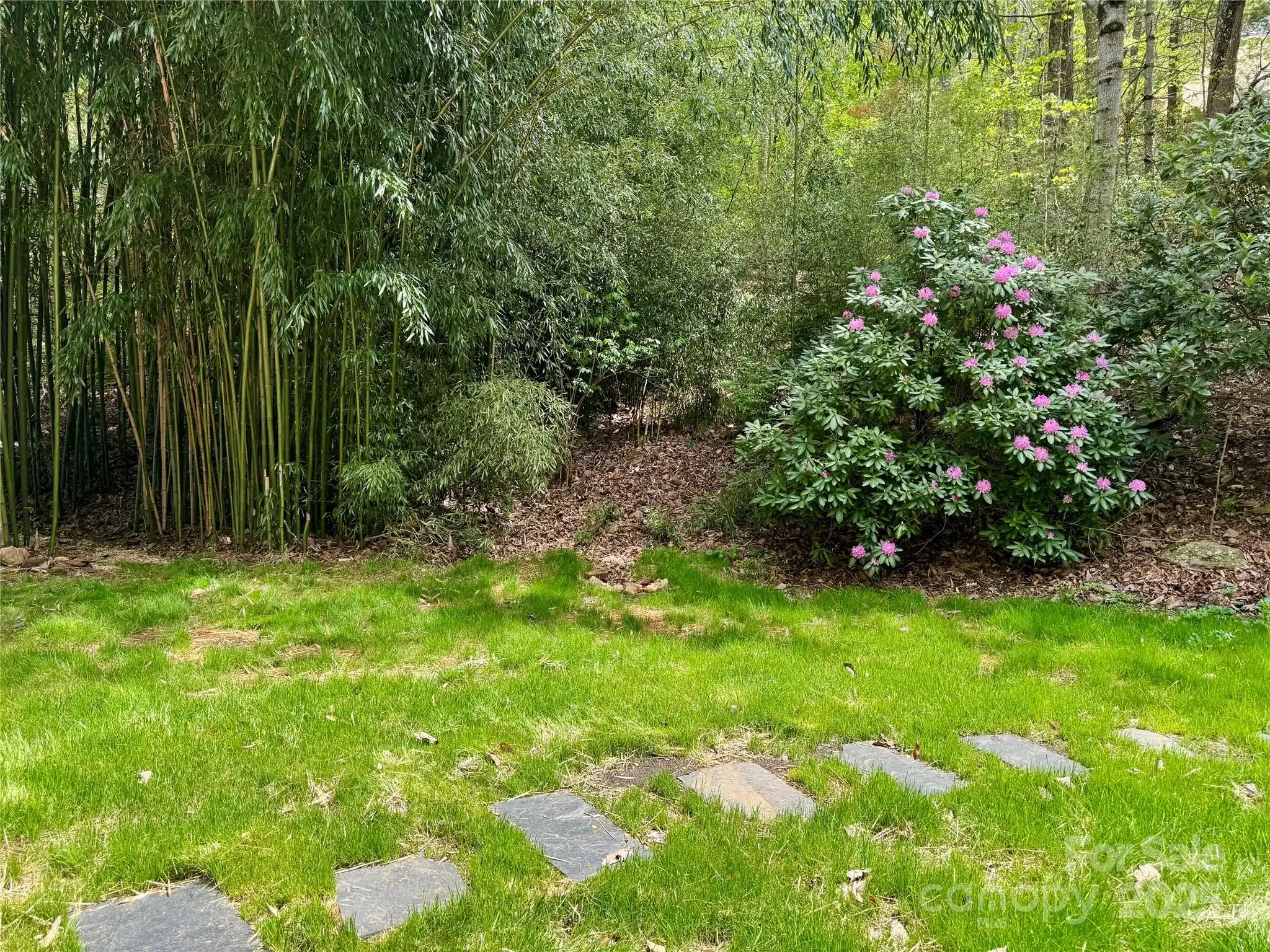 Listing Photo 42