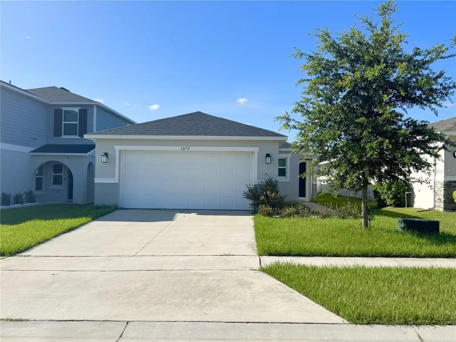 Davenport Real Estate