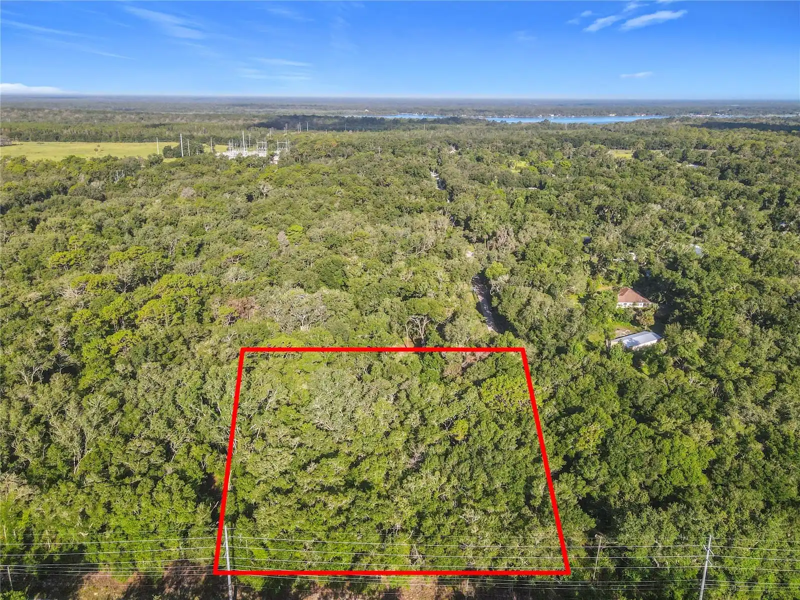 View Listing