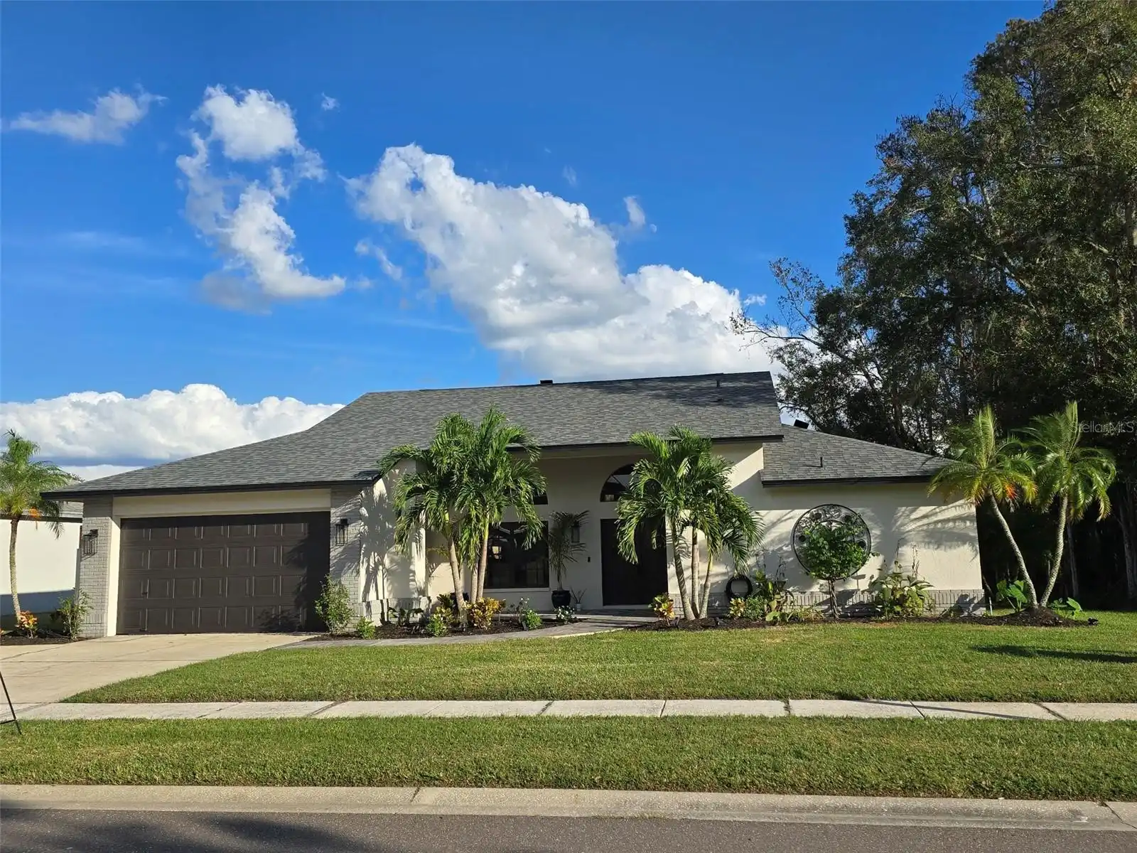 Palm Harbor Real Estate