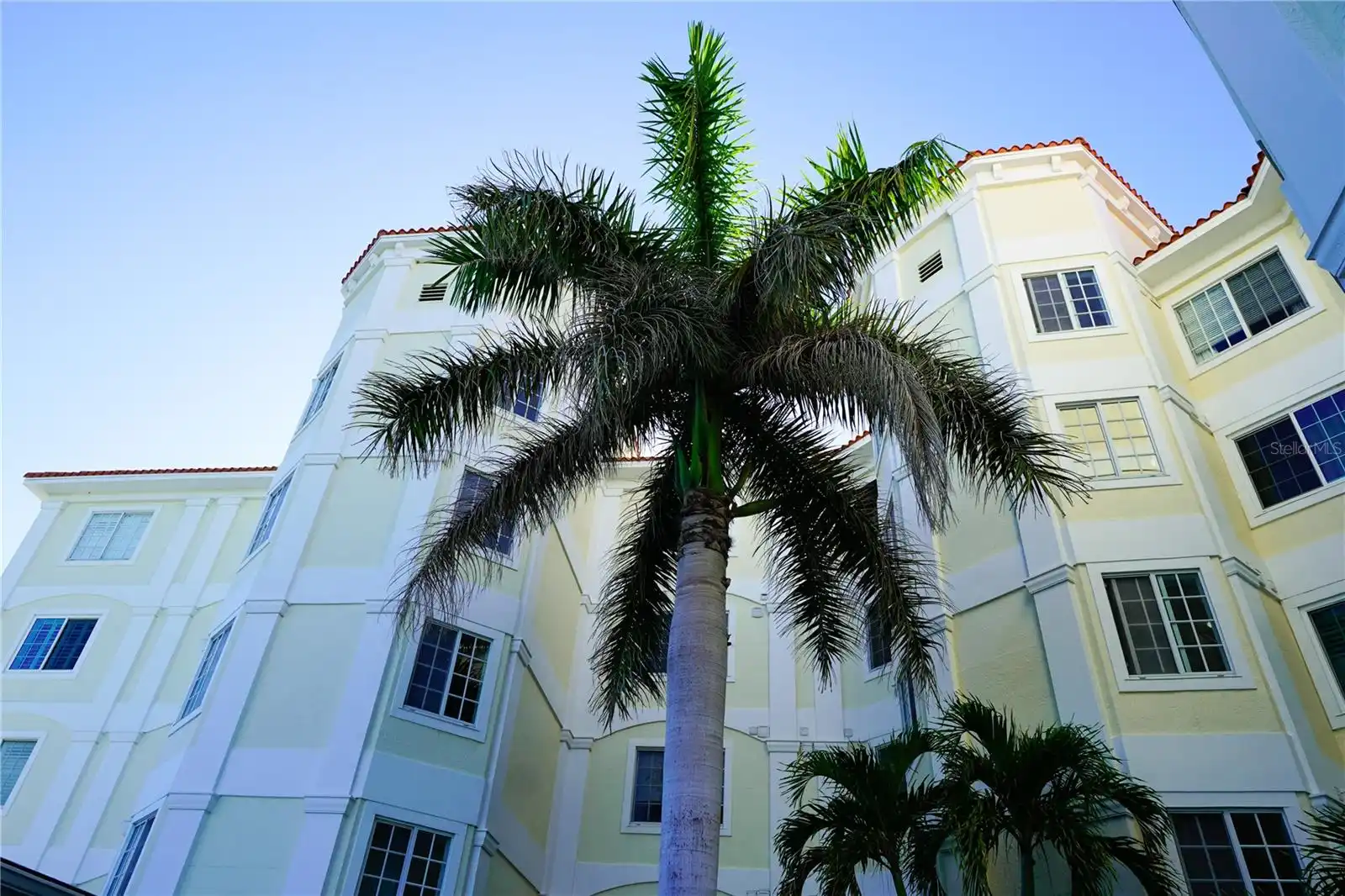 View Listing