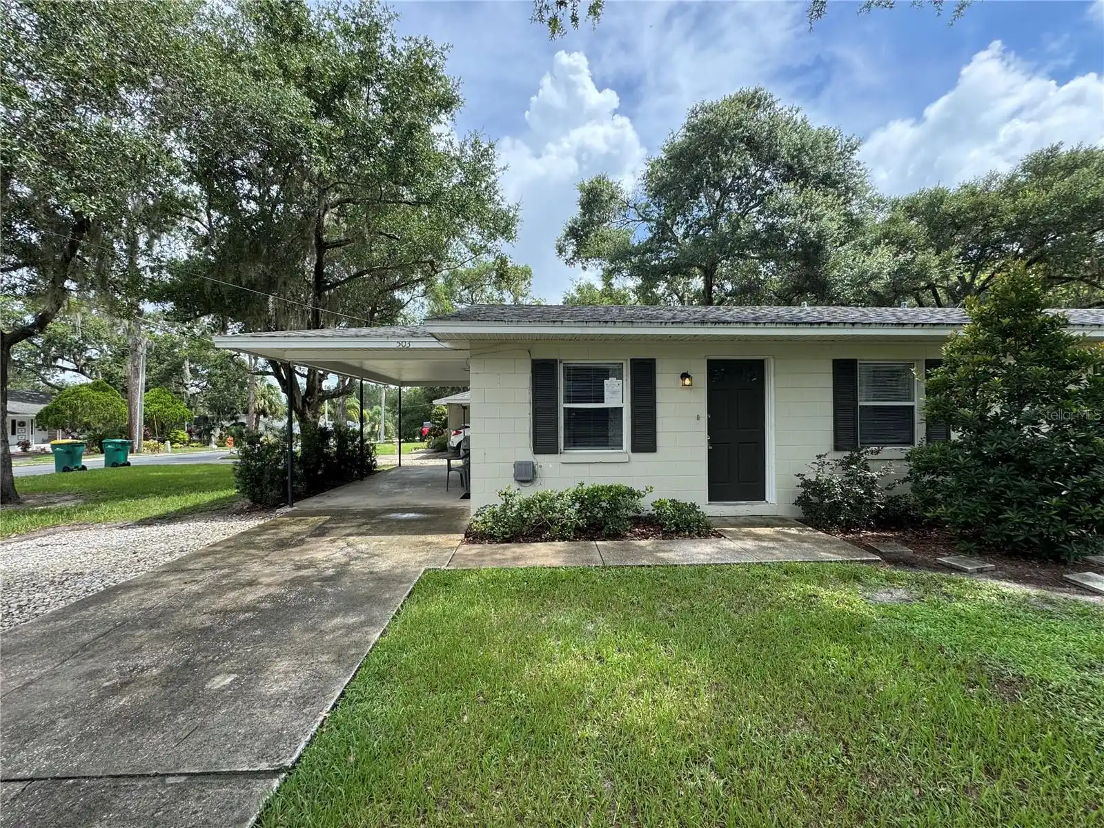 Mount Dora Real Estate