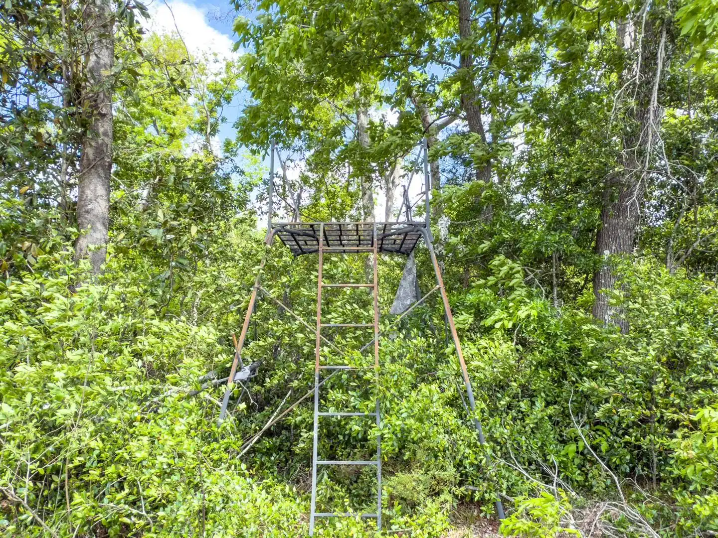 Listing Photo 14