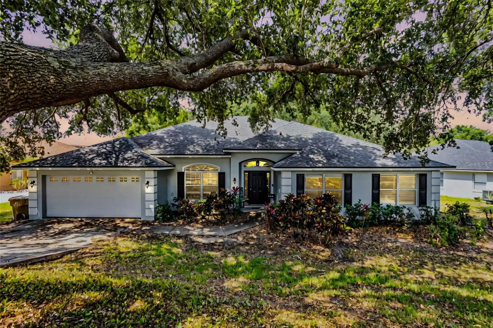 View Listing