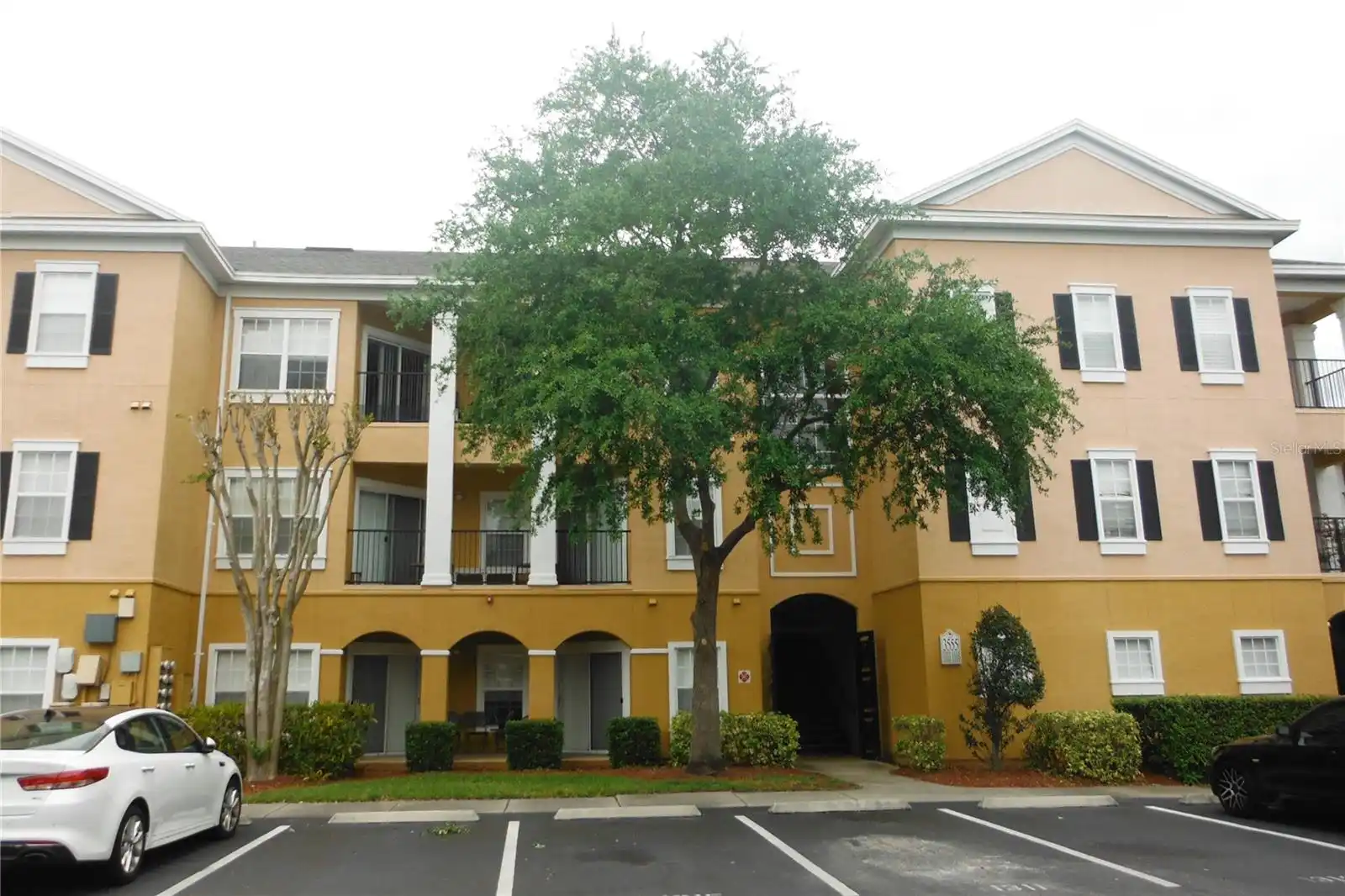 Orlando Real Estate