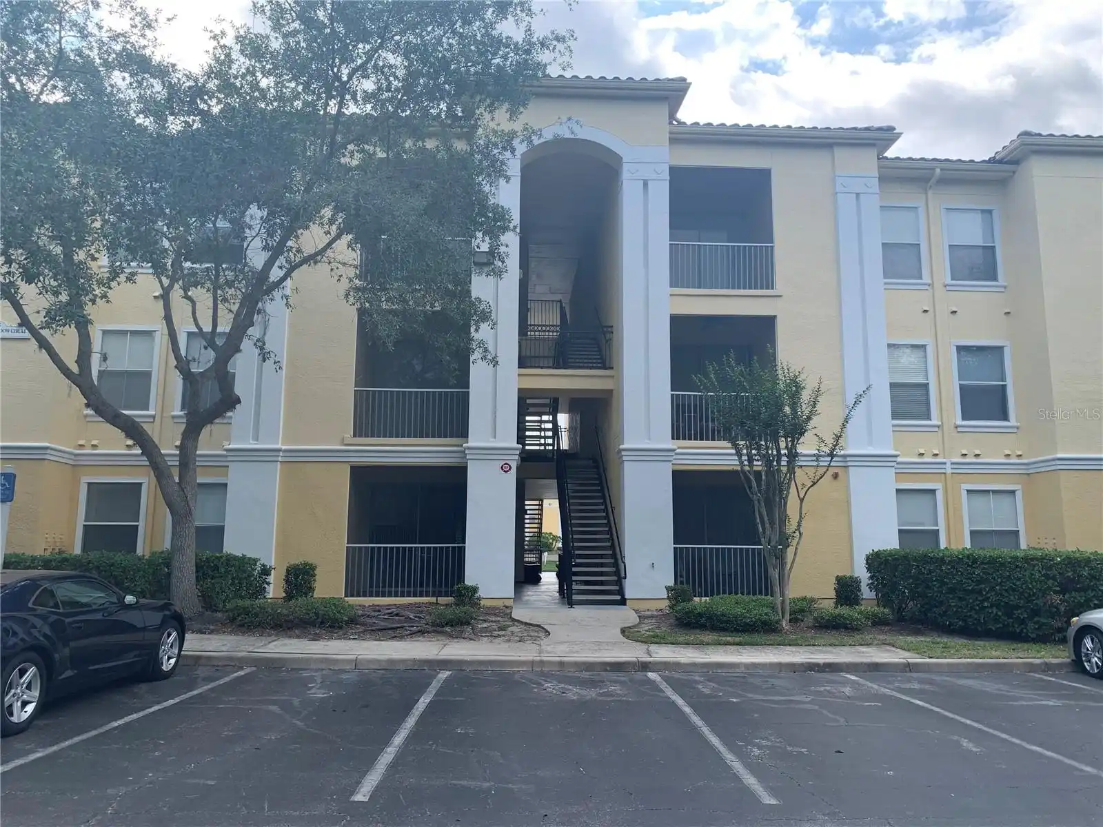 Maitland Real Estate