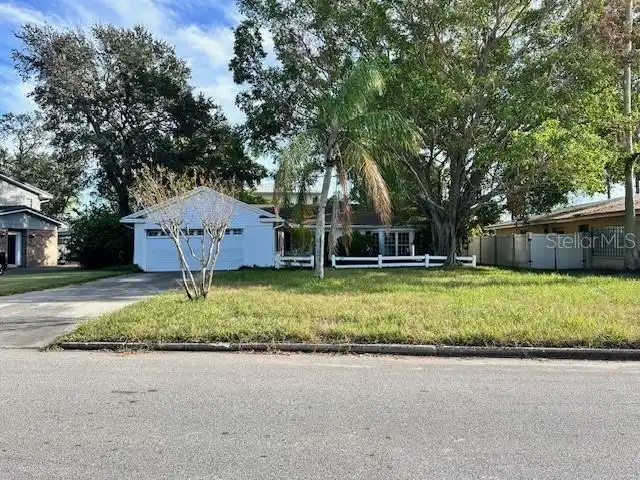 Tampa Real Estate