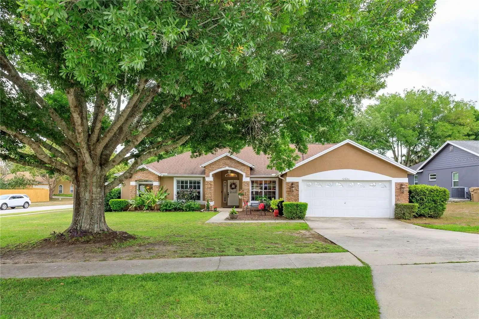 View Listing