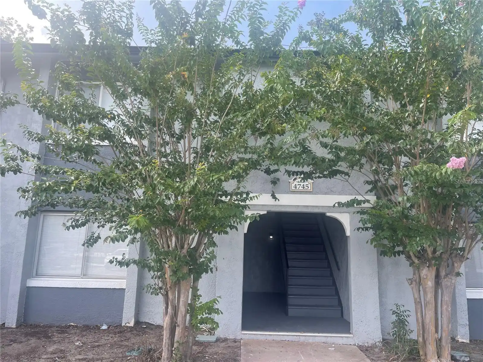 View Listing
