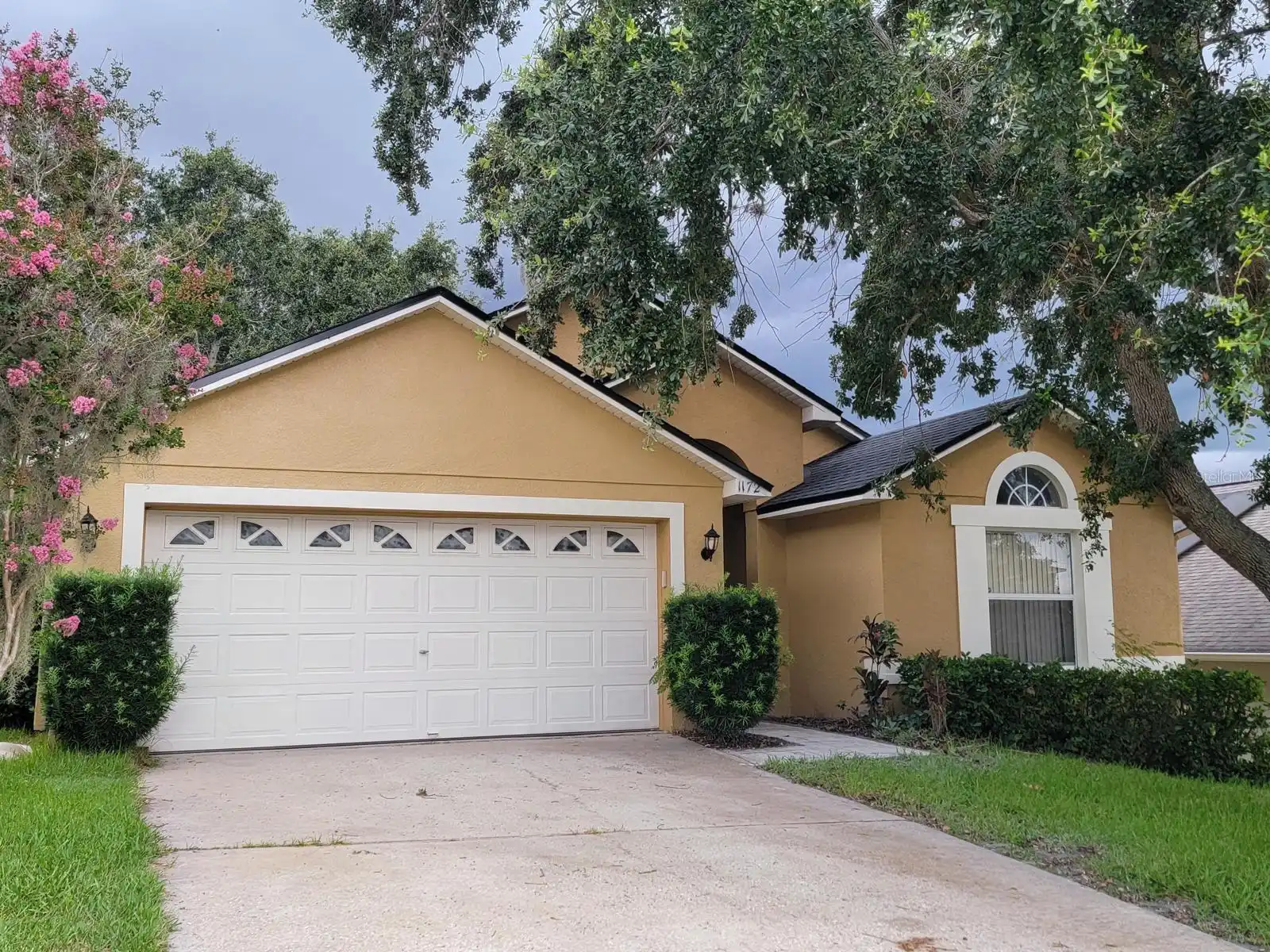Groveland Real Estate