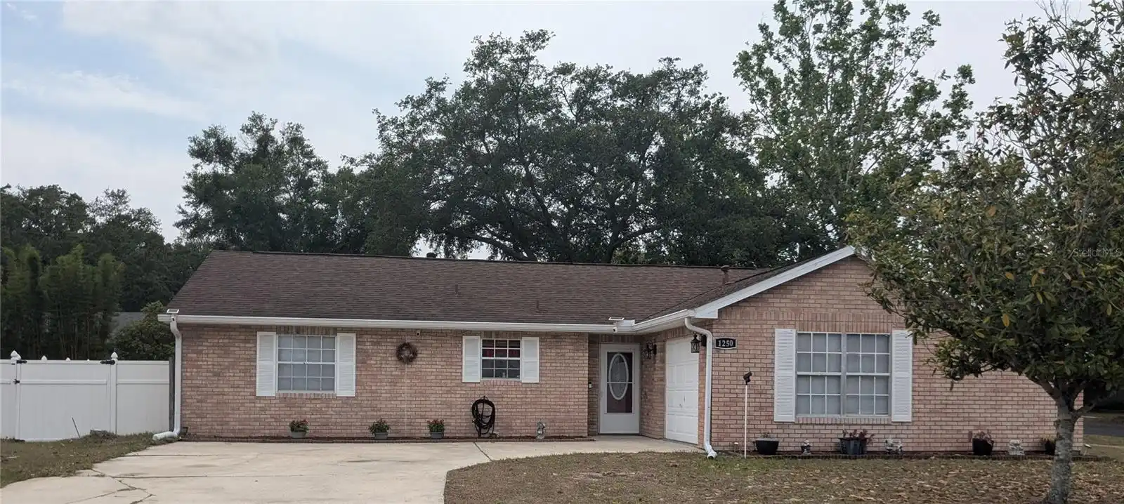 View Listing