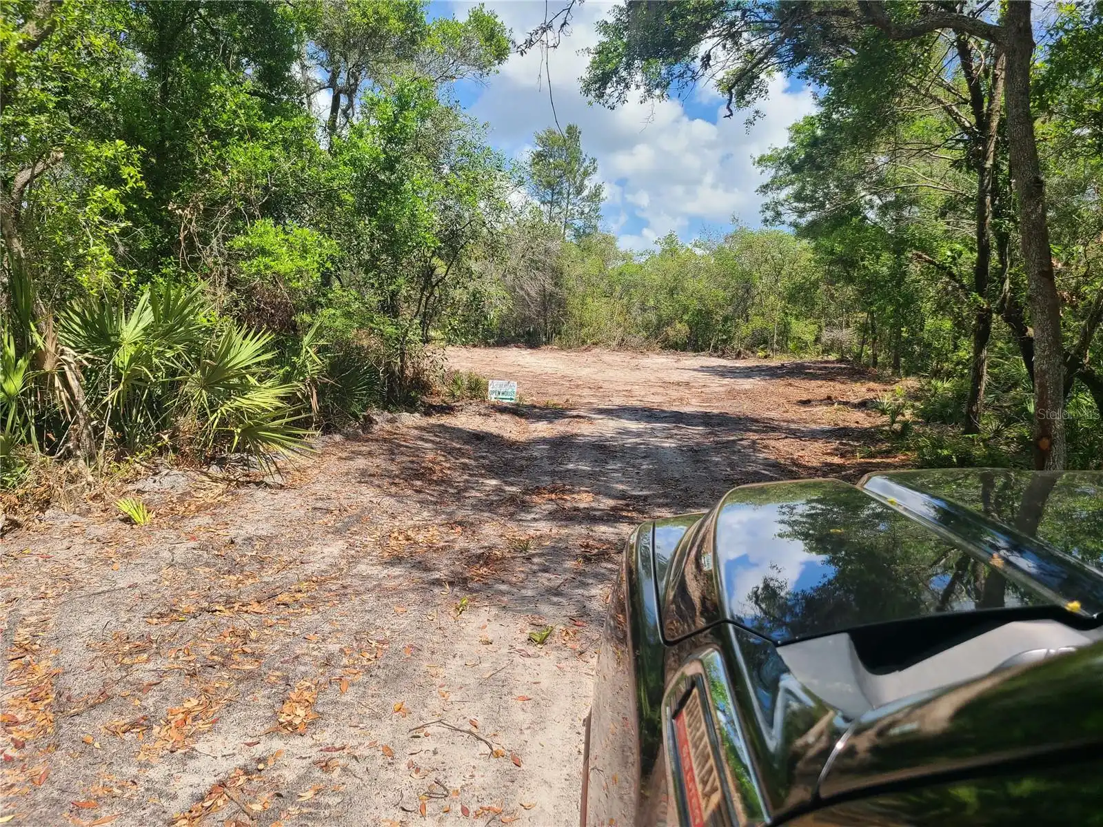 View Listing