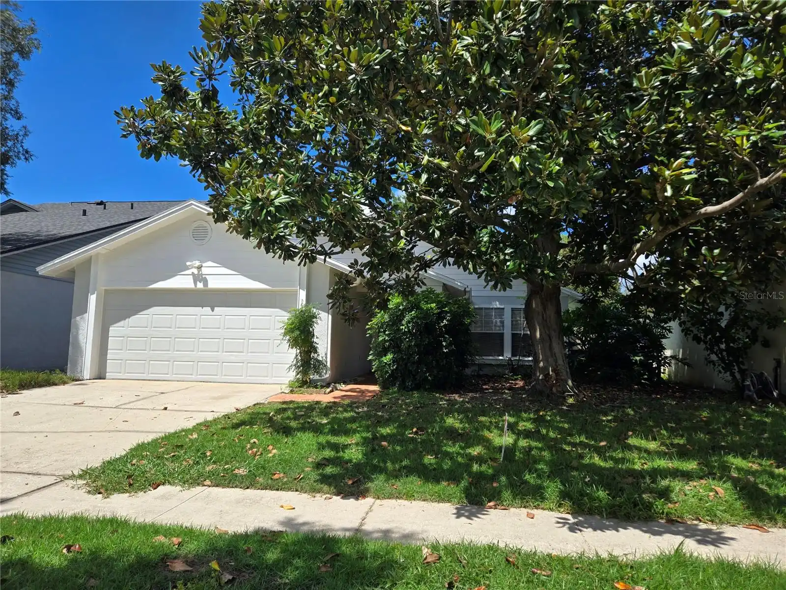 Winter Park Real Estate