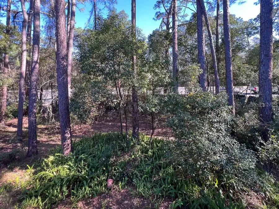 Listing Photo 19