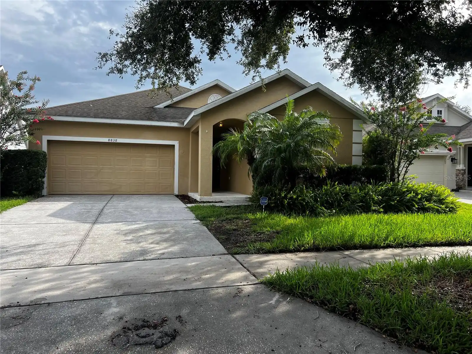 View Listing
