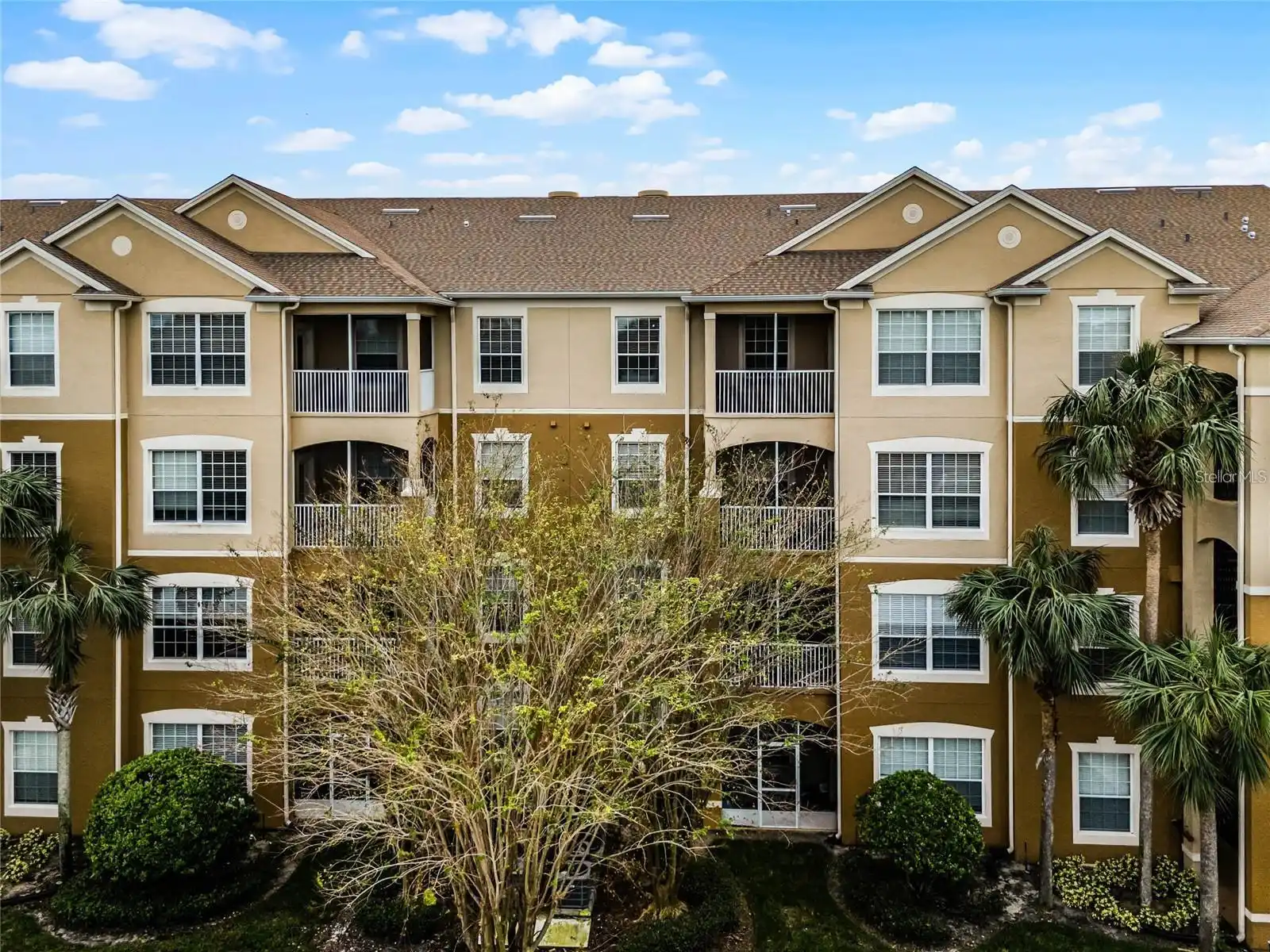 View Listing