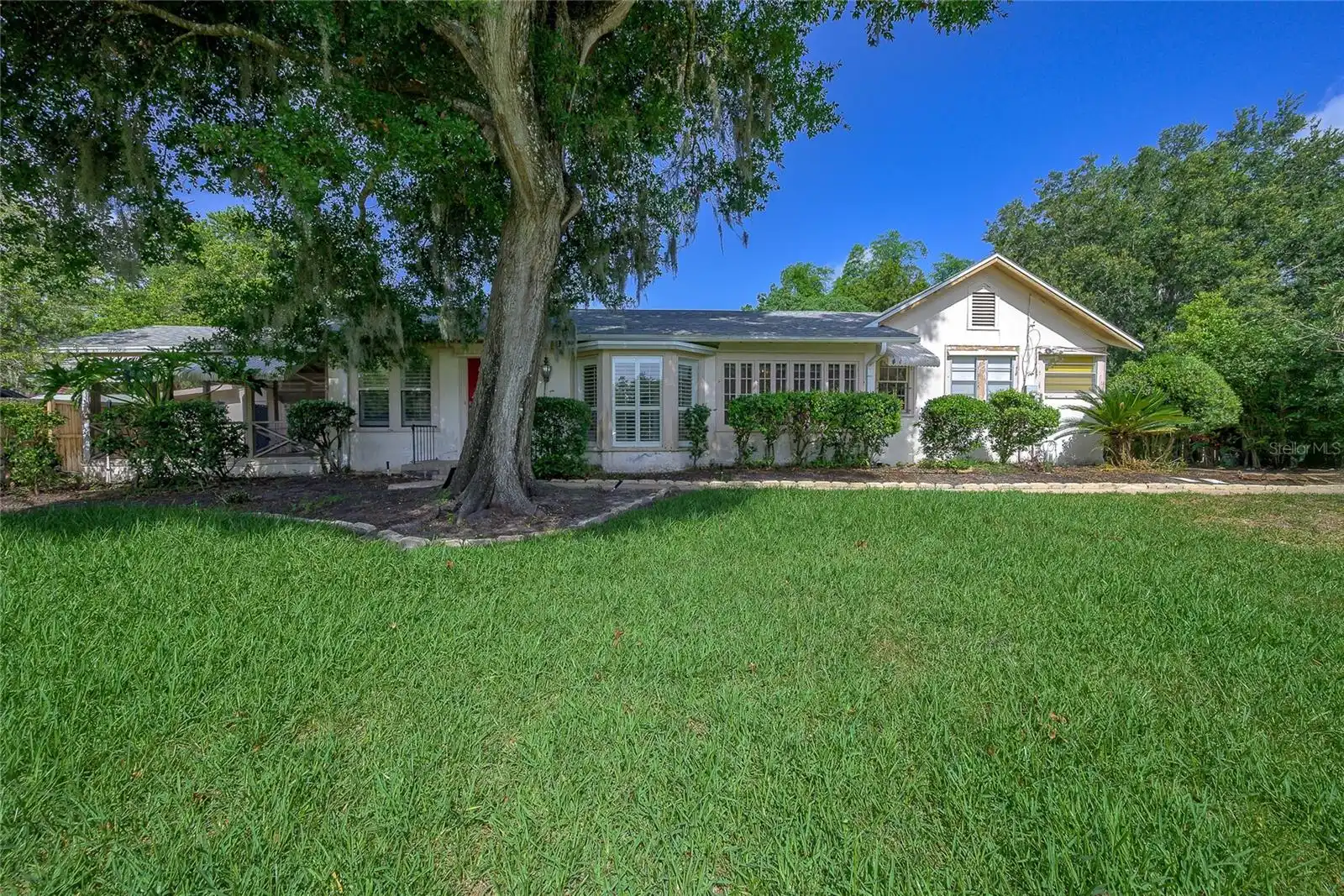 Maitland Real Estate