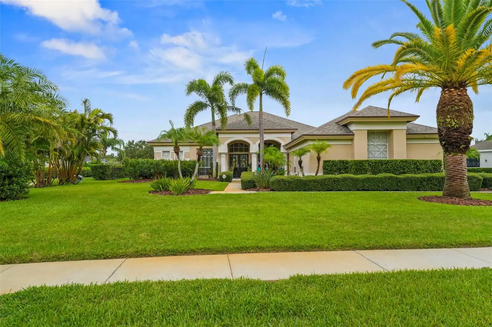Palm Harbor Real Estate