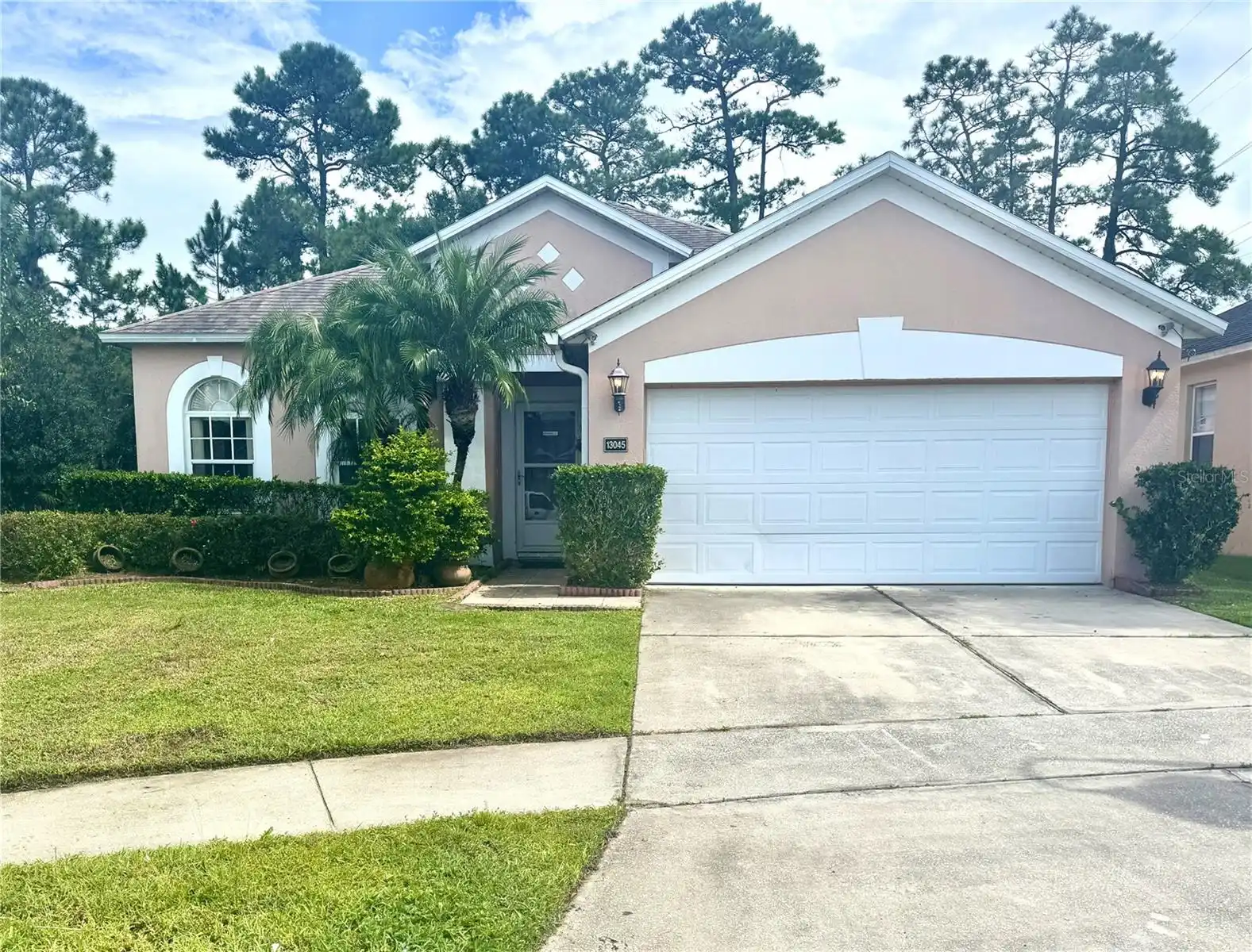 View Listing