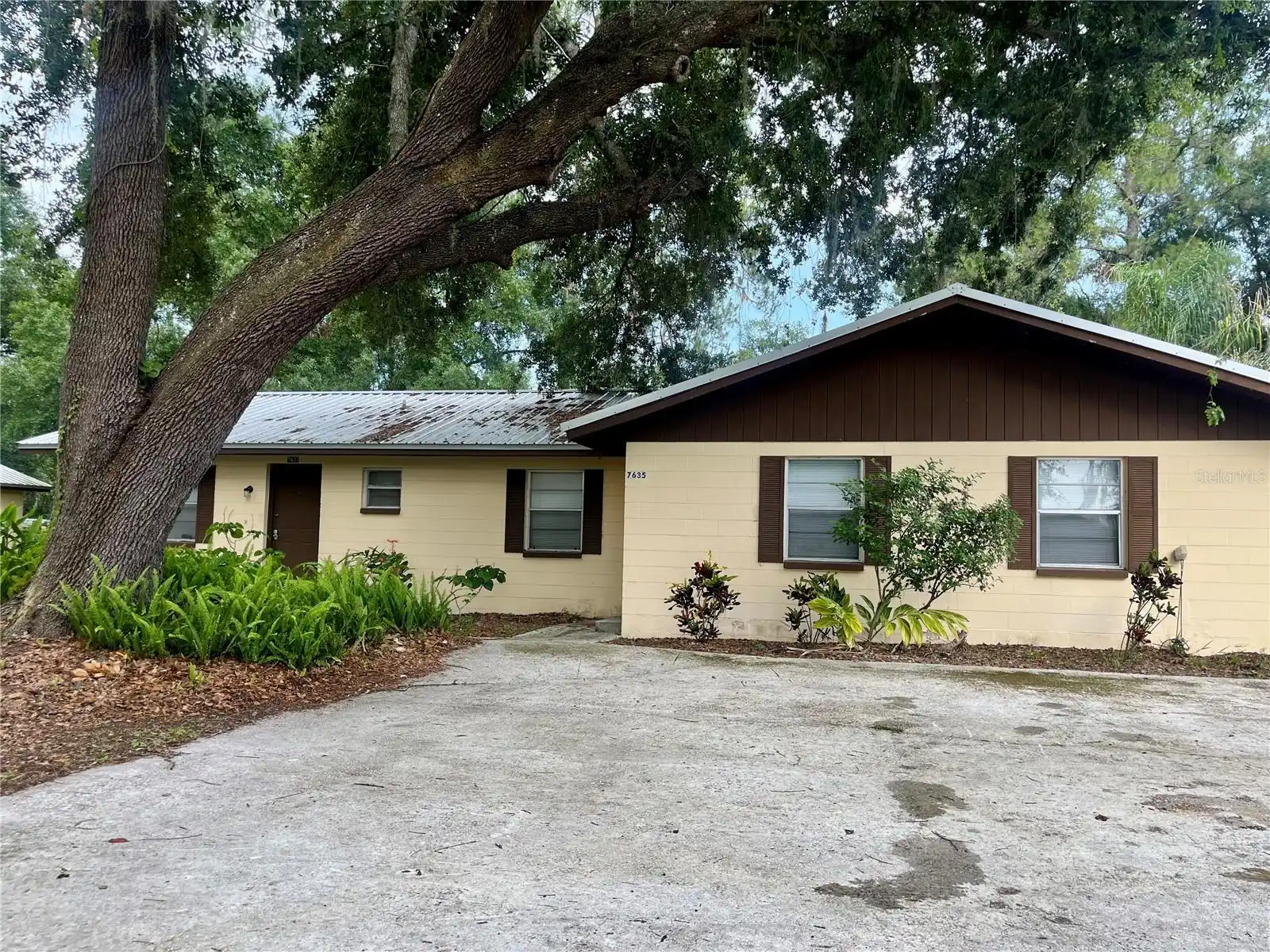 View Listing