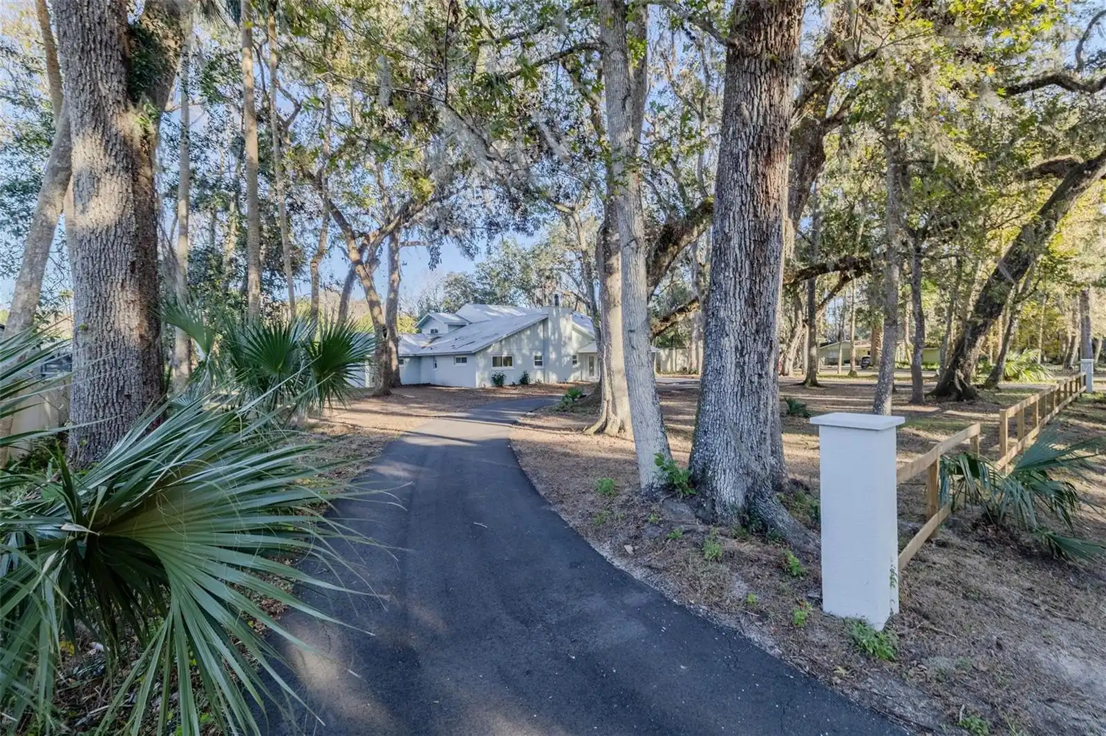 New Smyrna Beach Real Estate