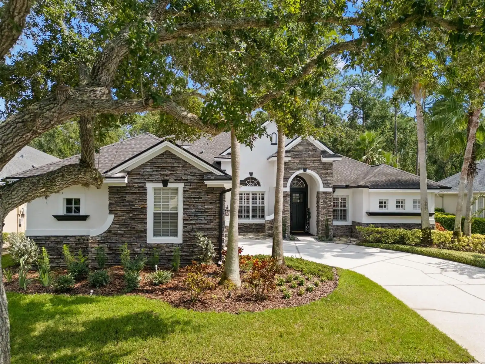 Tampa Real Estate