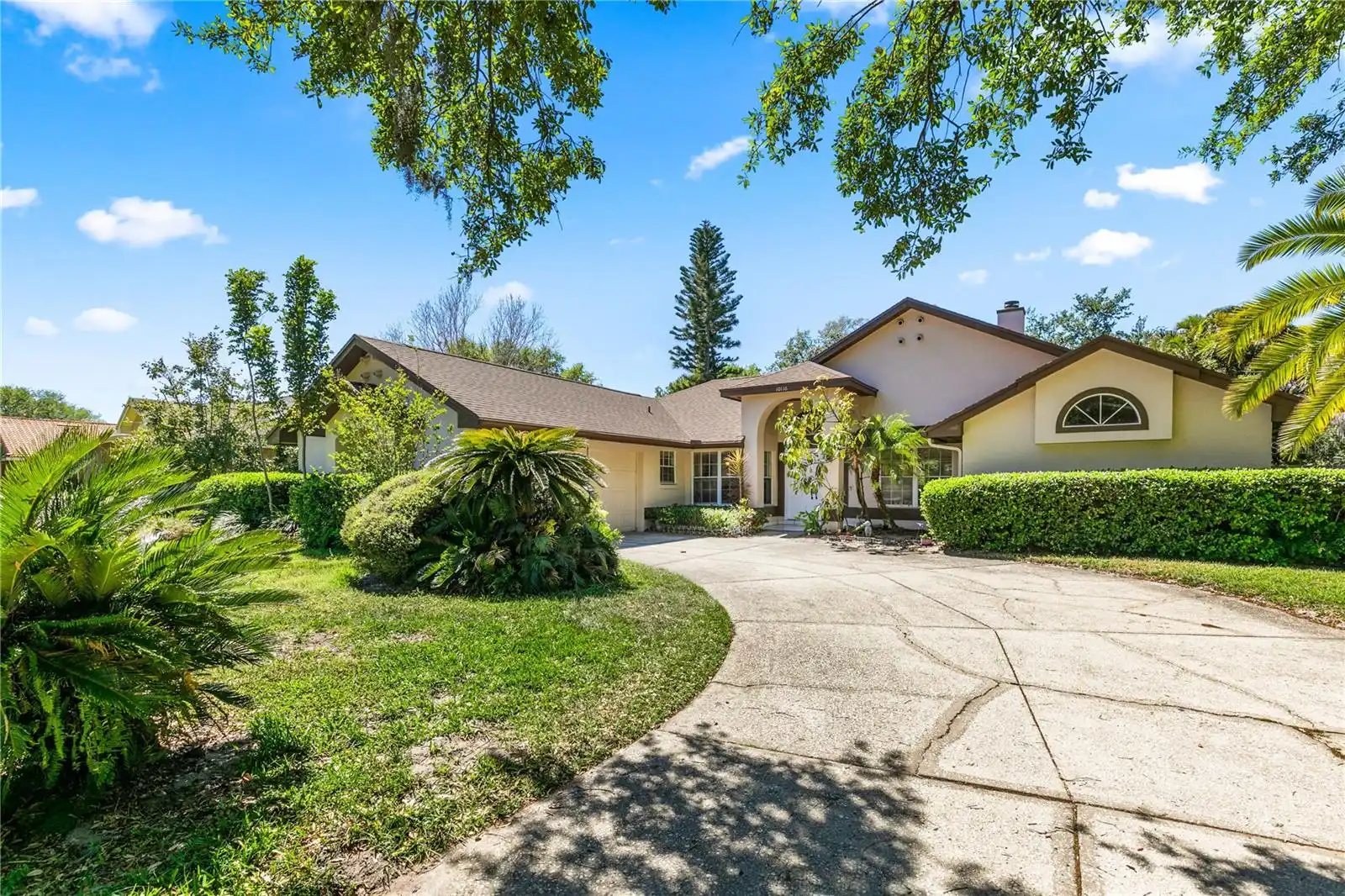 Orlando Real Estate