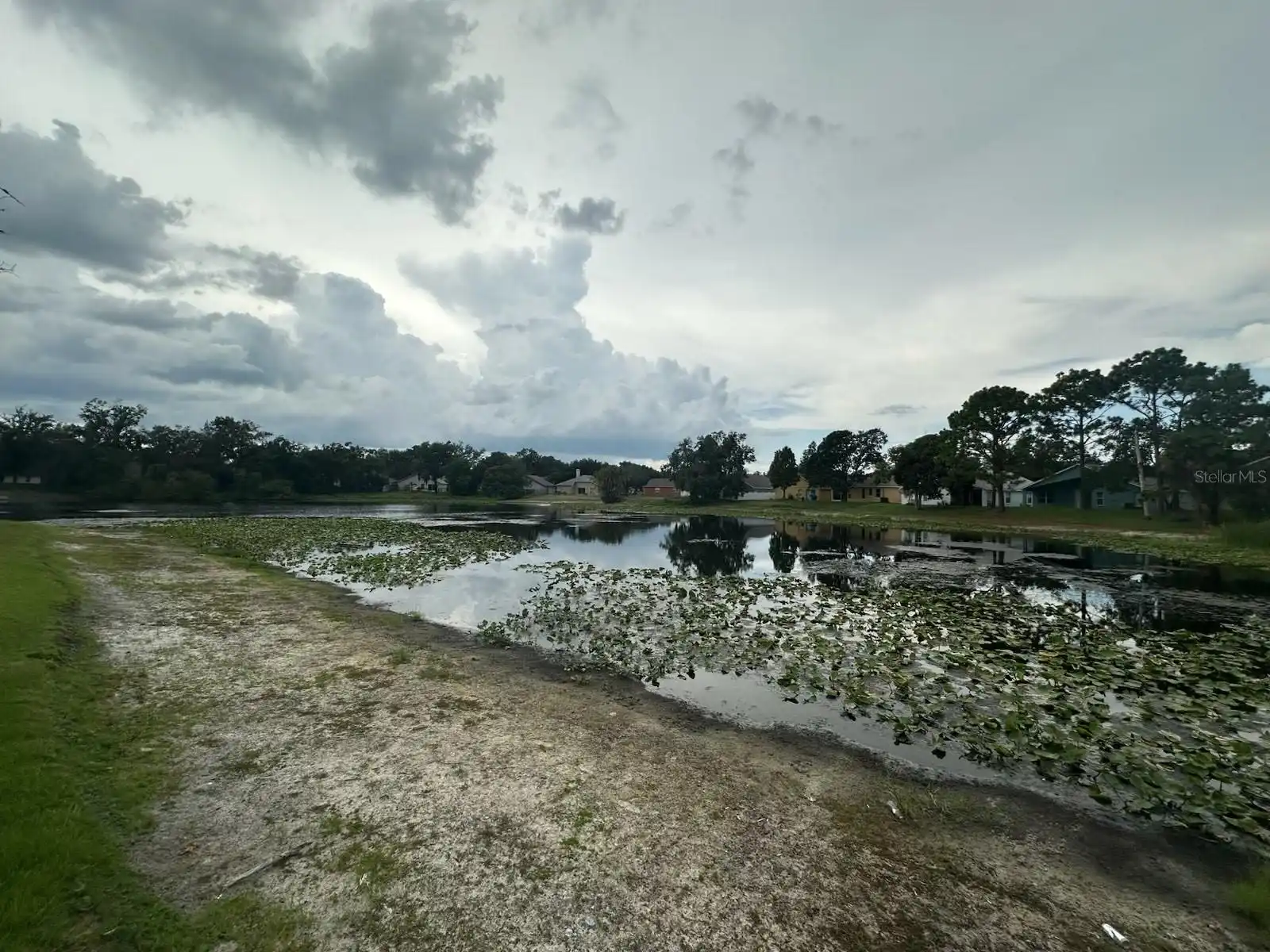 Orlando Real Estate