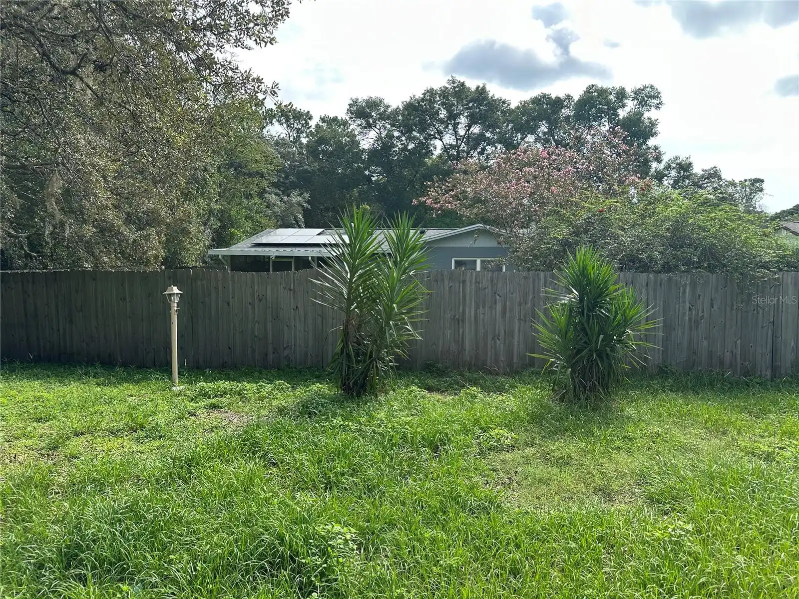 Listing Photo 5