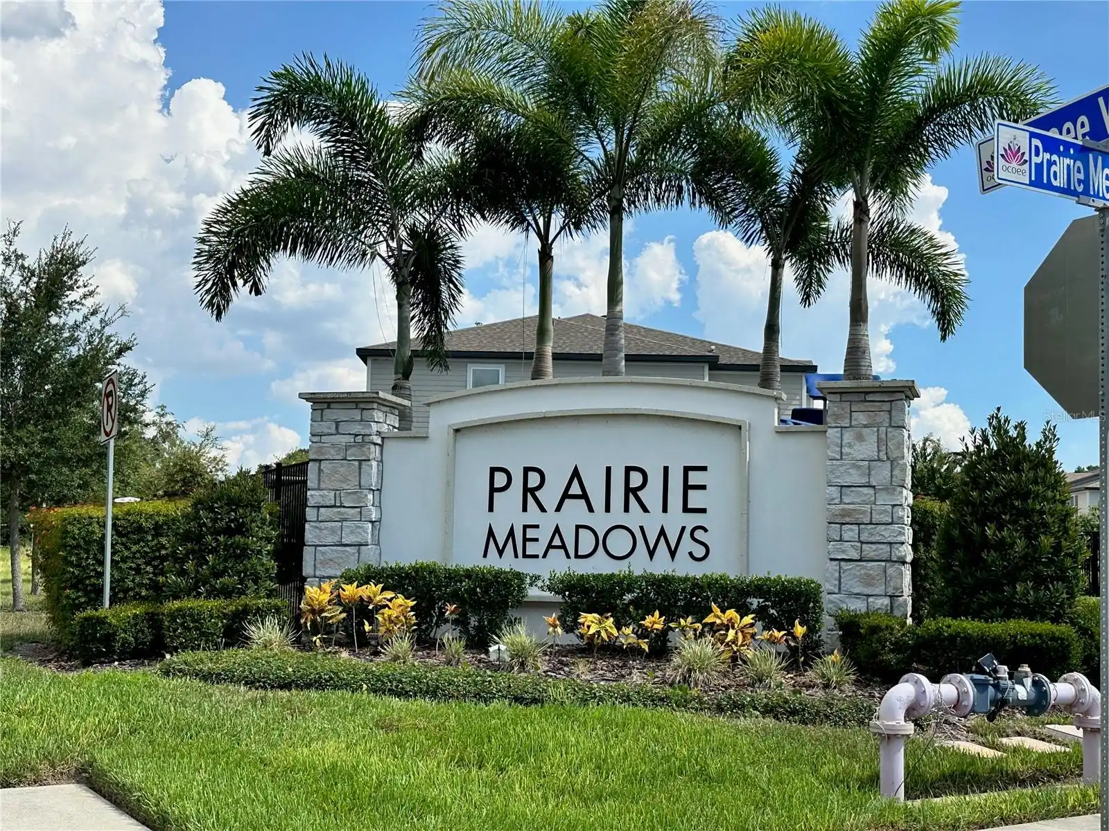 Ocoee Real Estate