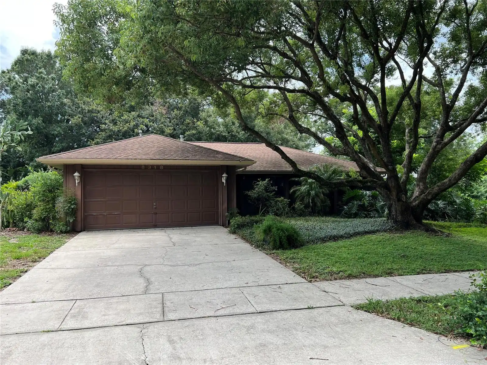 Orlando Real Estate