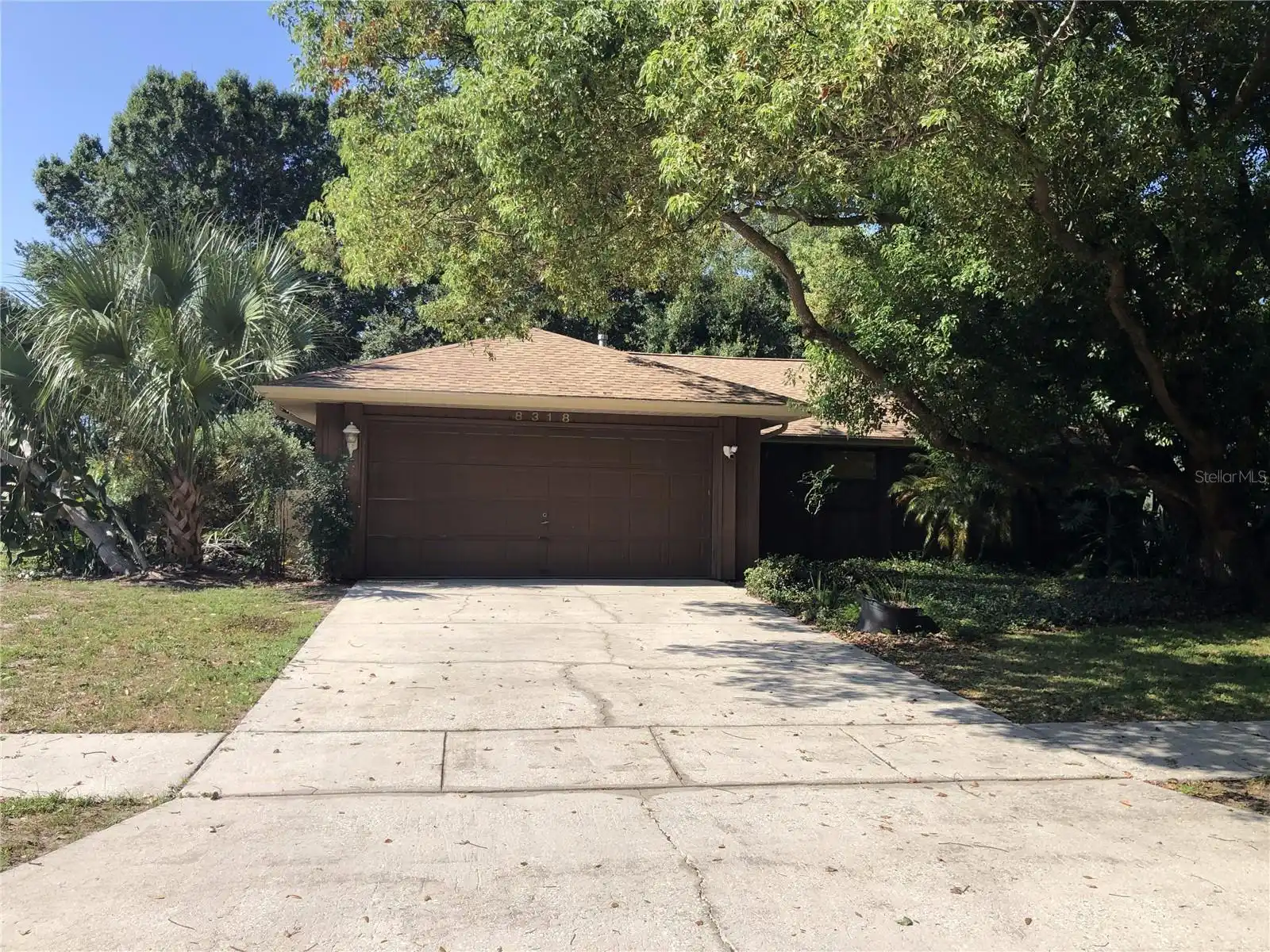 Orlando Real Estate