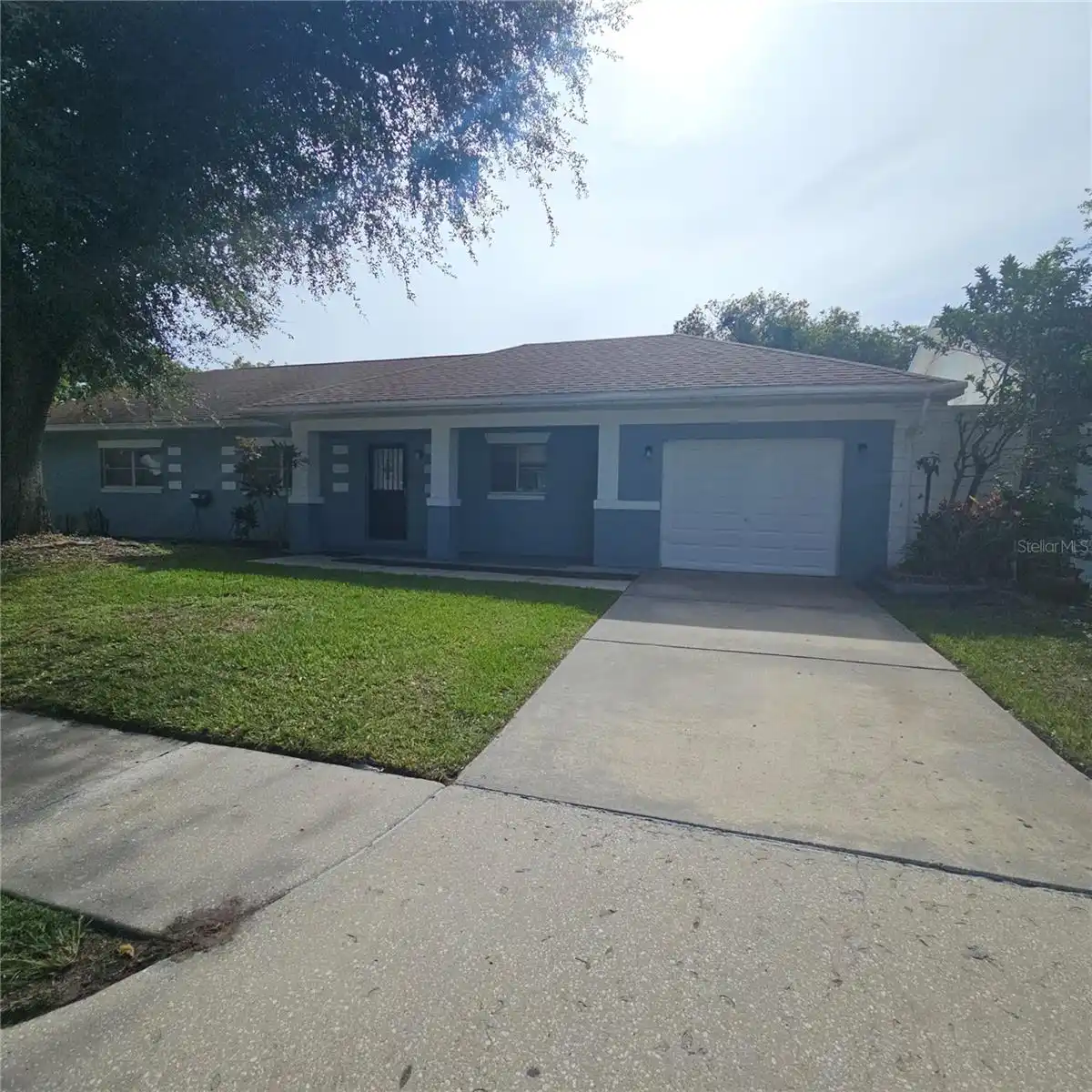 Orlando Real Estate