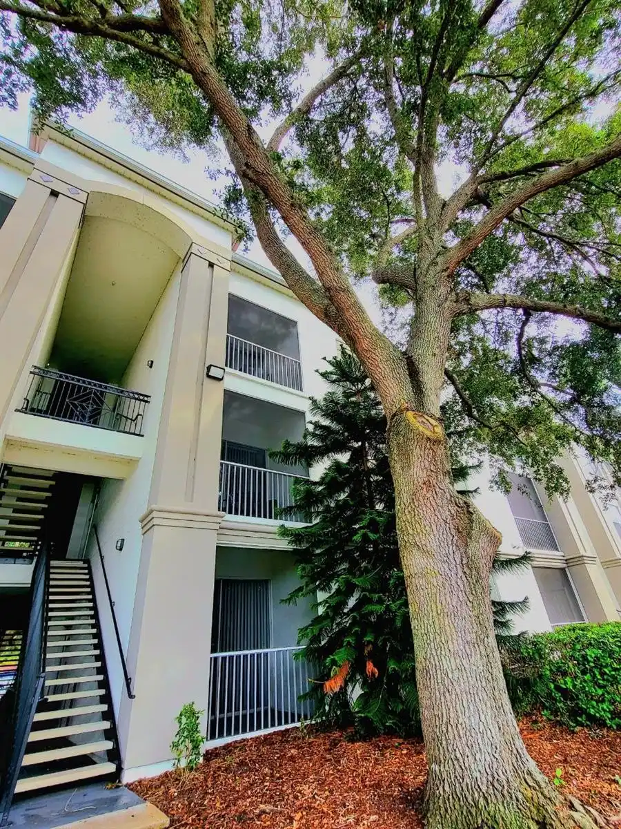 Orlando Real Estate