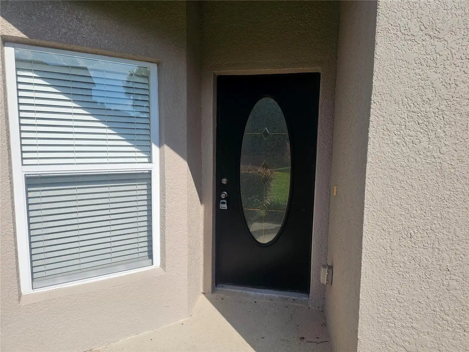 Ocoee Real Estate