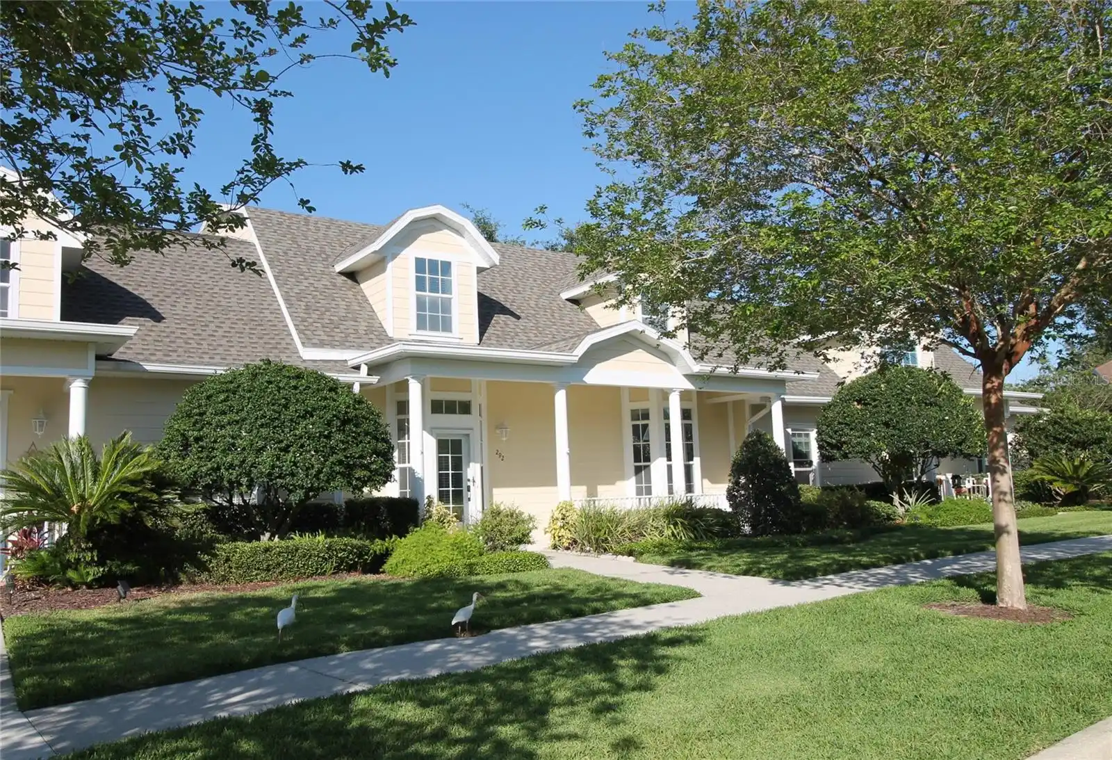 View Listing