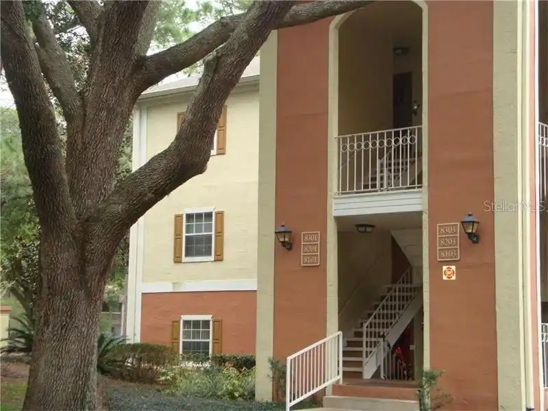 Longwood Real Estate