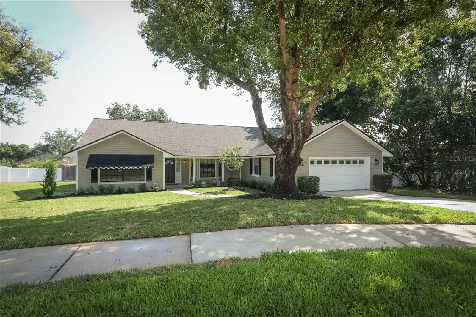 Orlando Real Estate