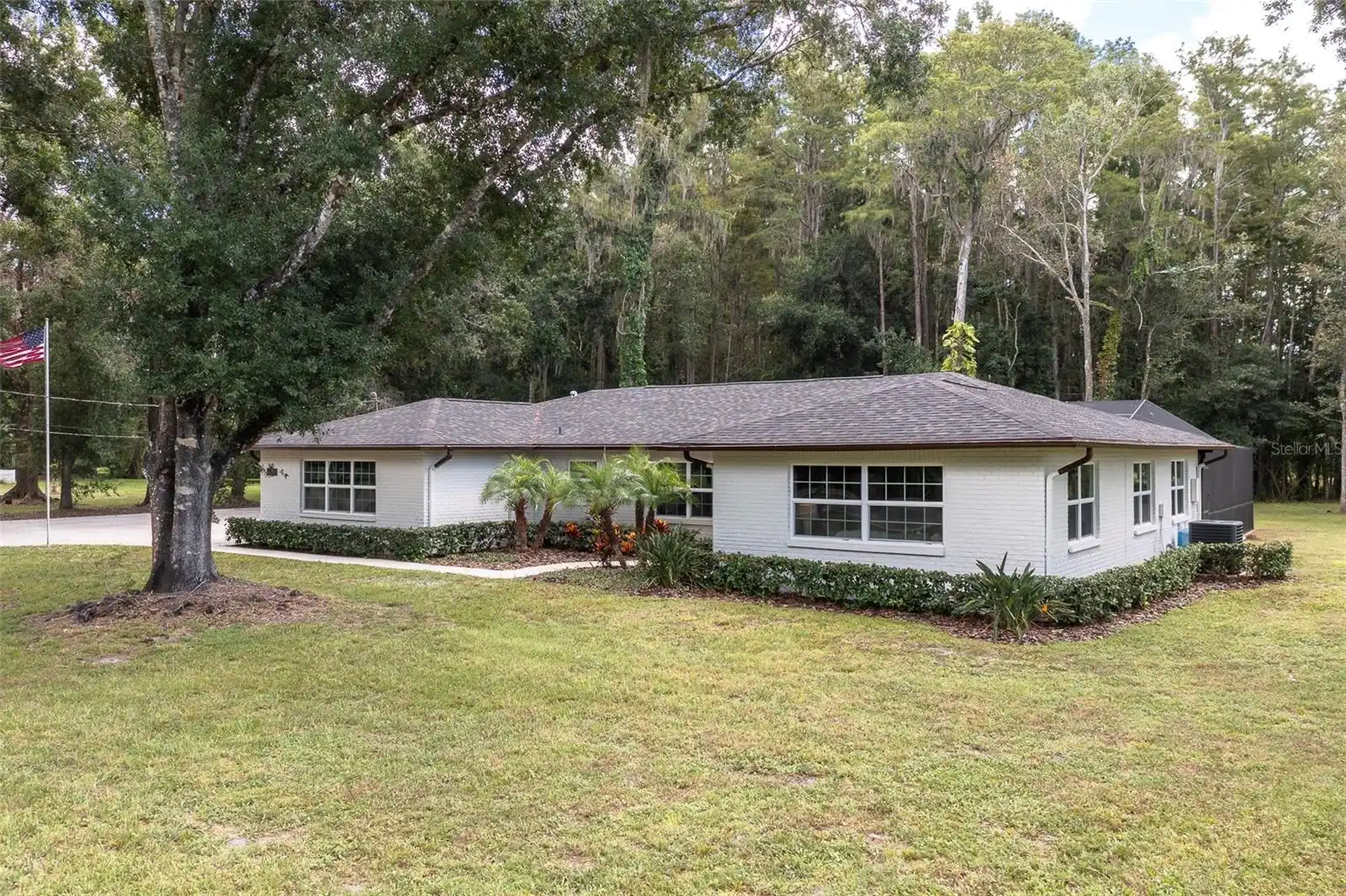 Tarpon Springs Real Estate