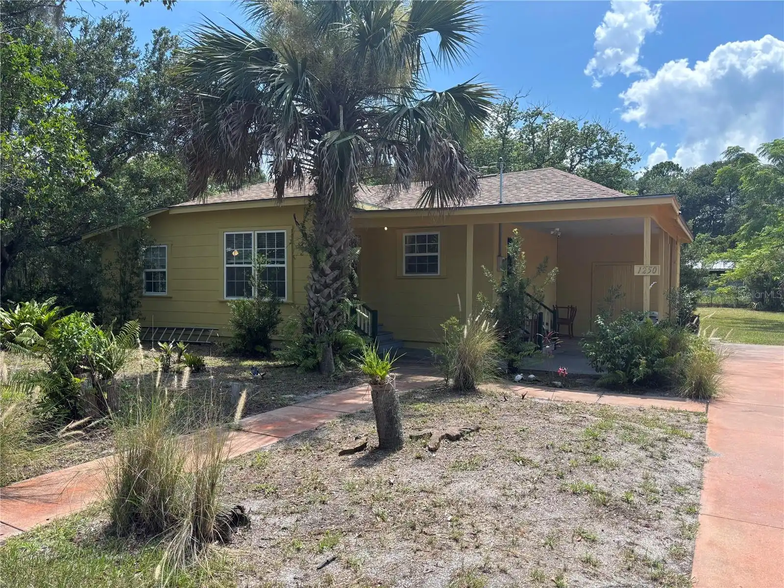 View Listing