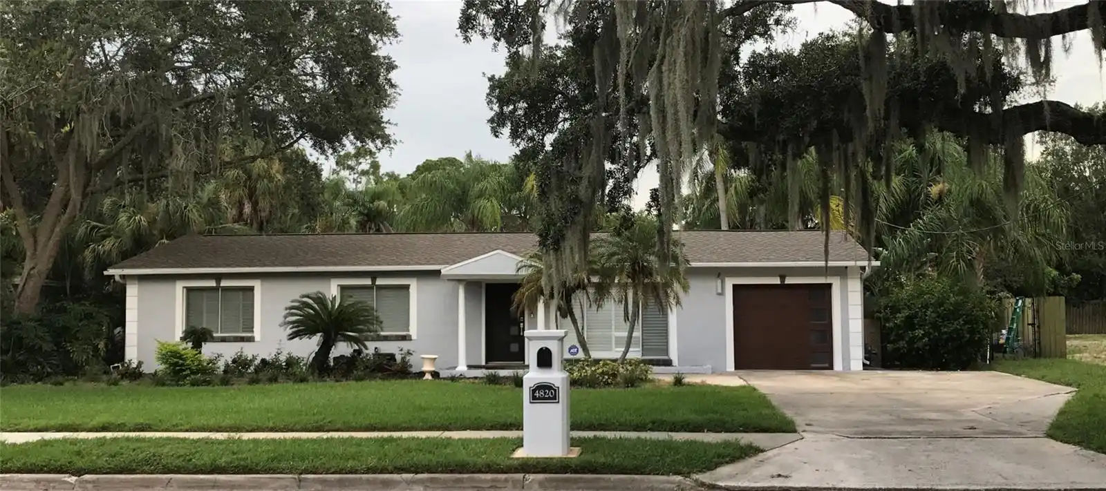 Tampa Real Estate