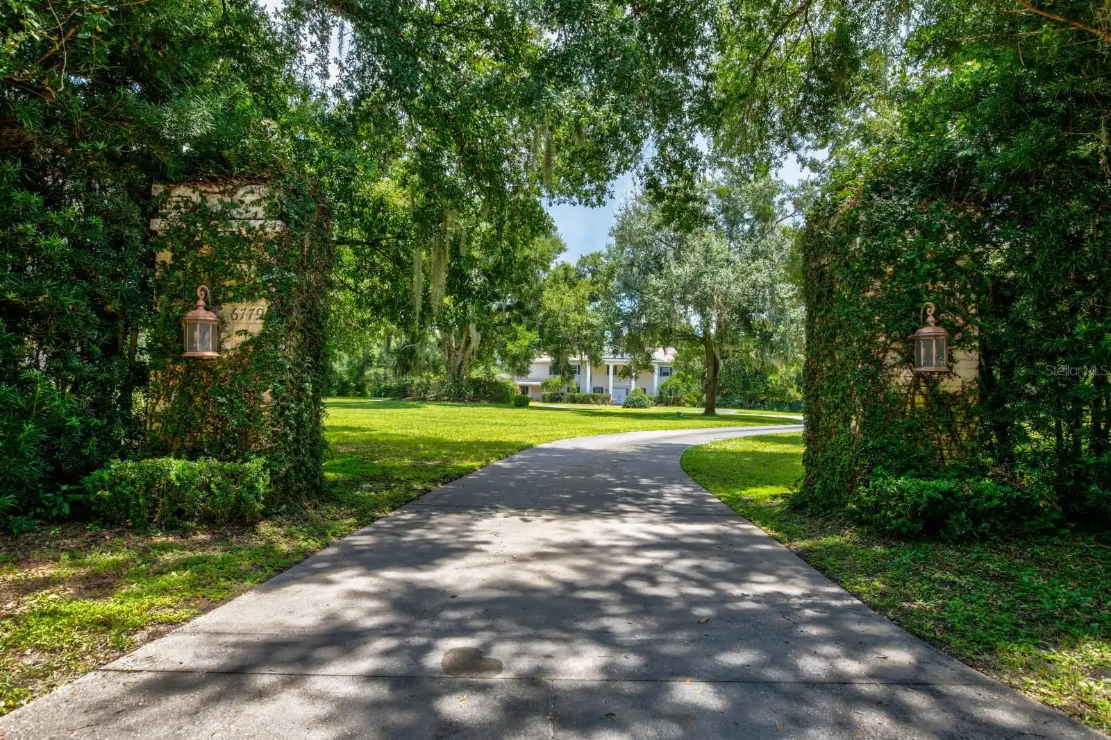 Mount Dora Real Estate