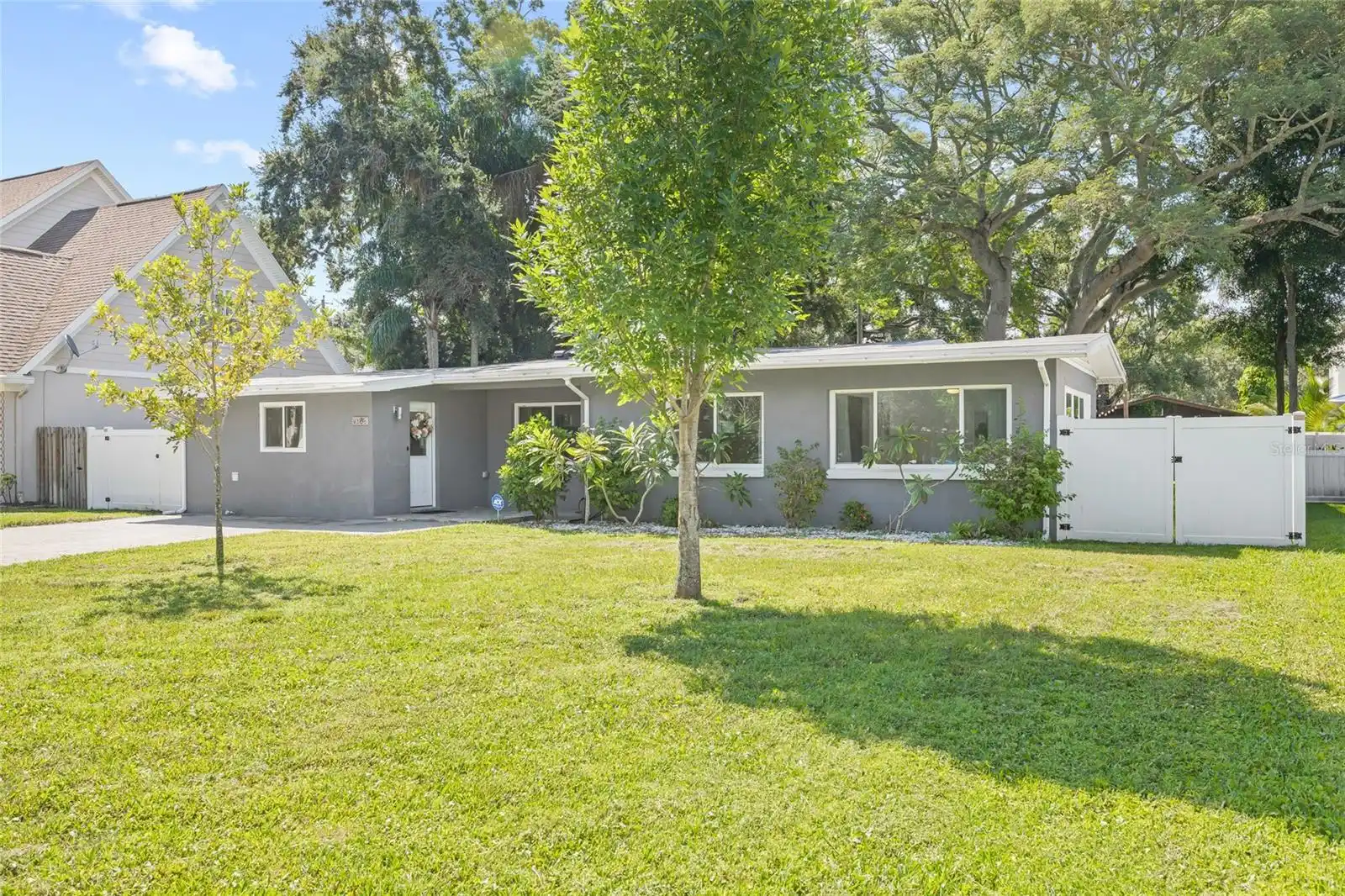 Tampa Real Estate
