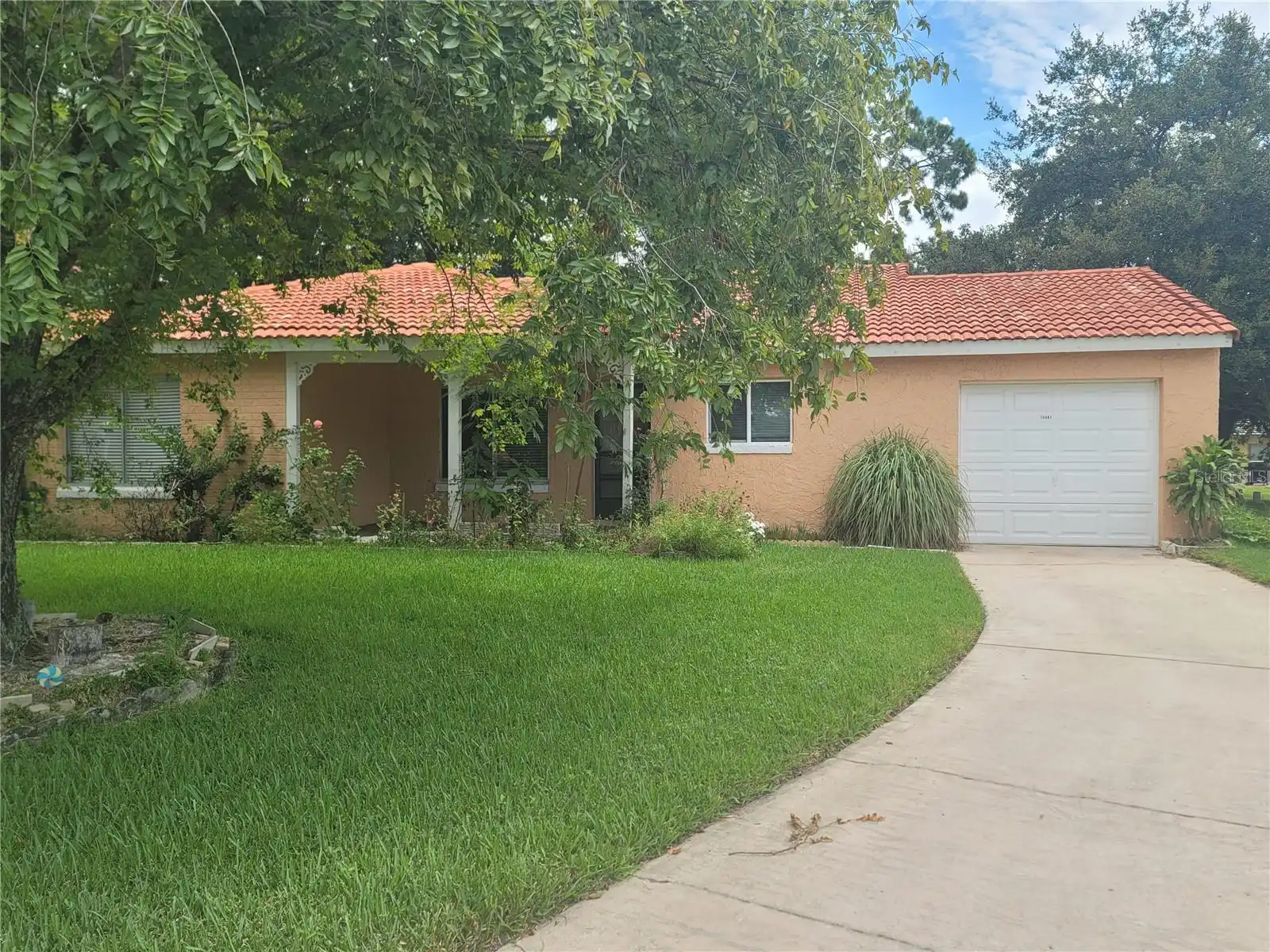 Orlando Real Estate