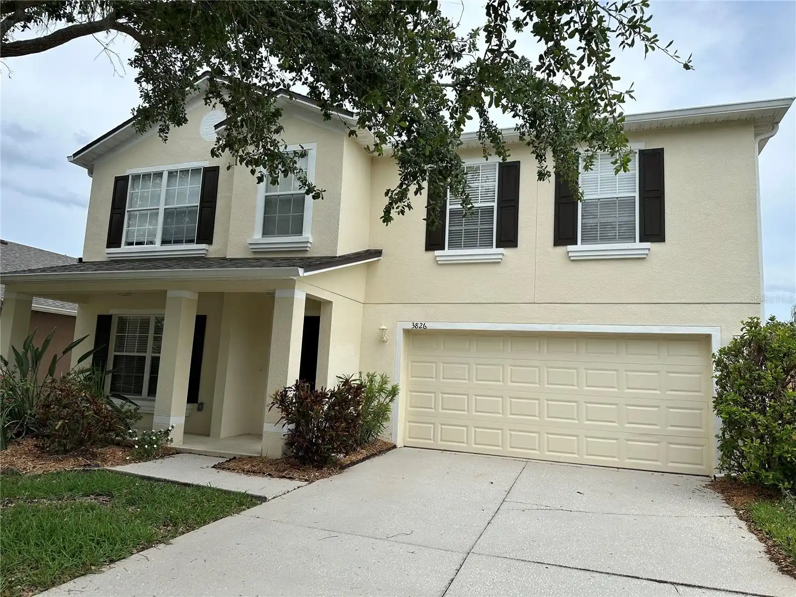 View Listing