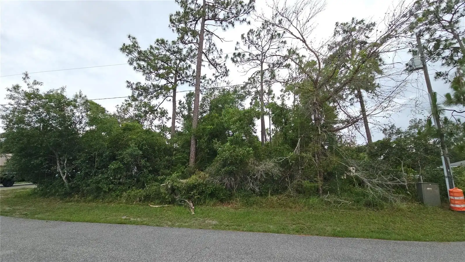 View Listing