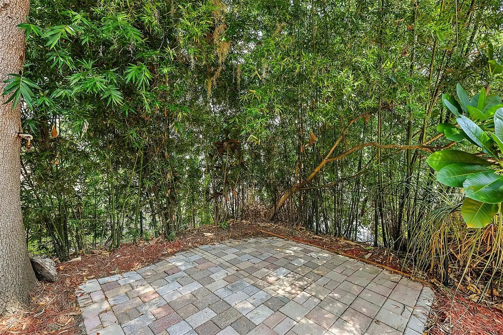 Listing Photo 41
