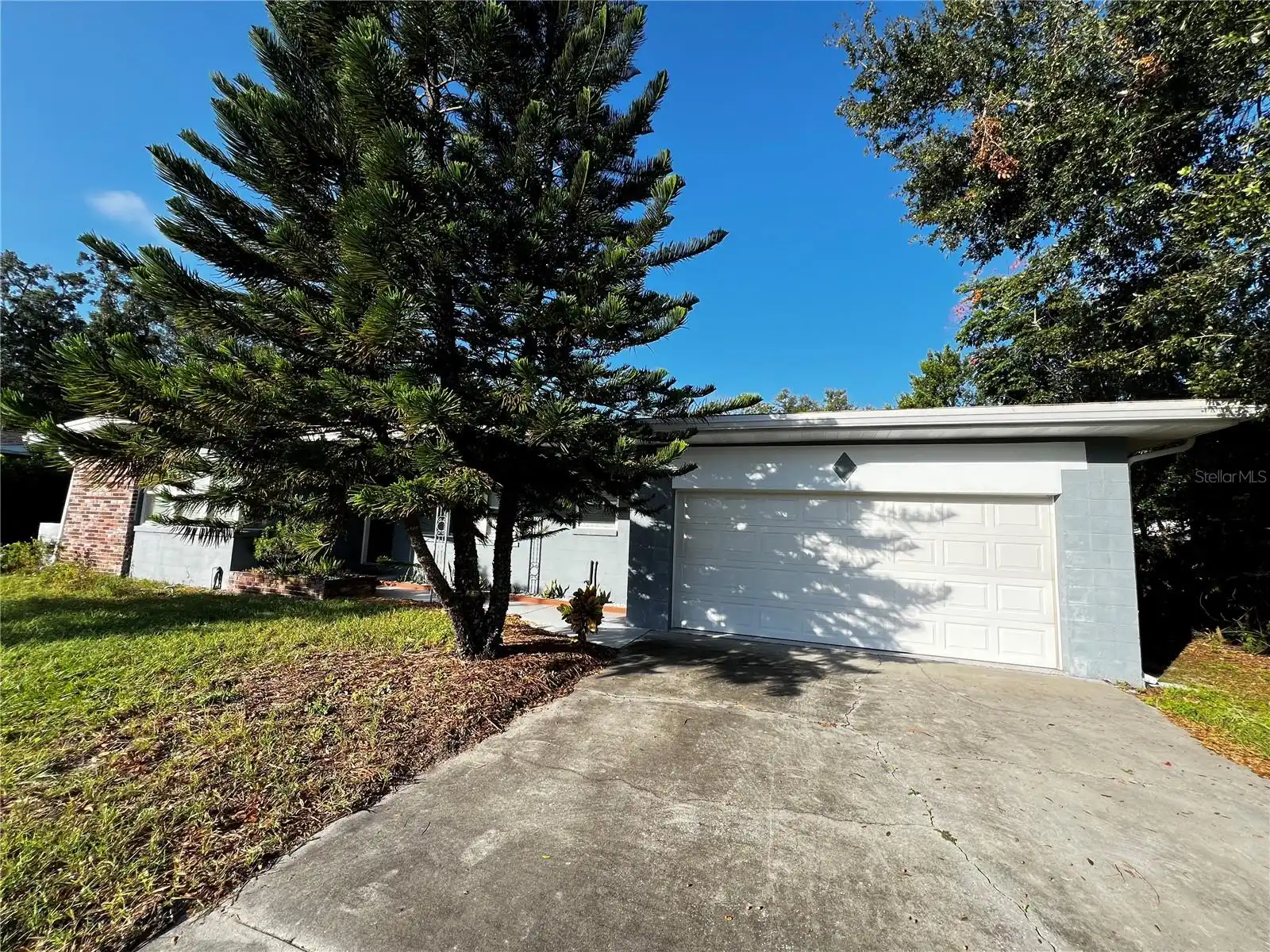 Orlando Real Estate