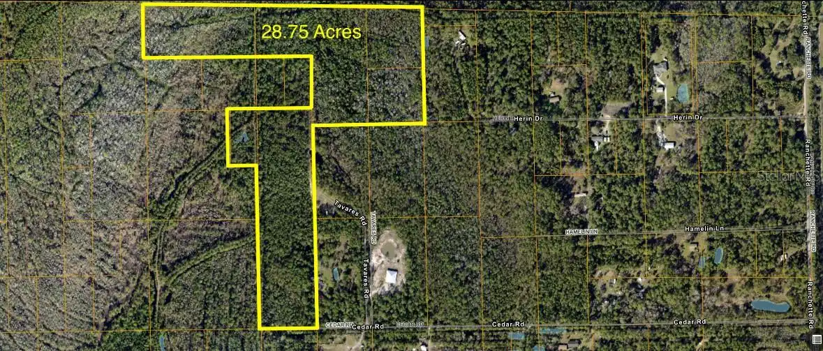View Listing