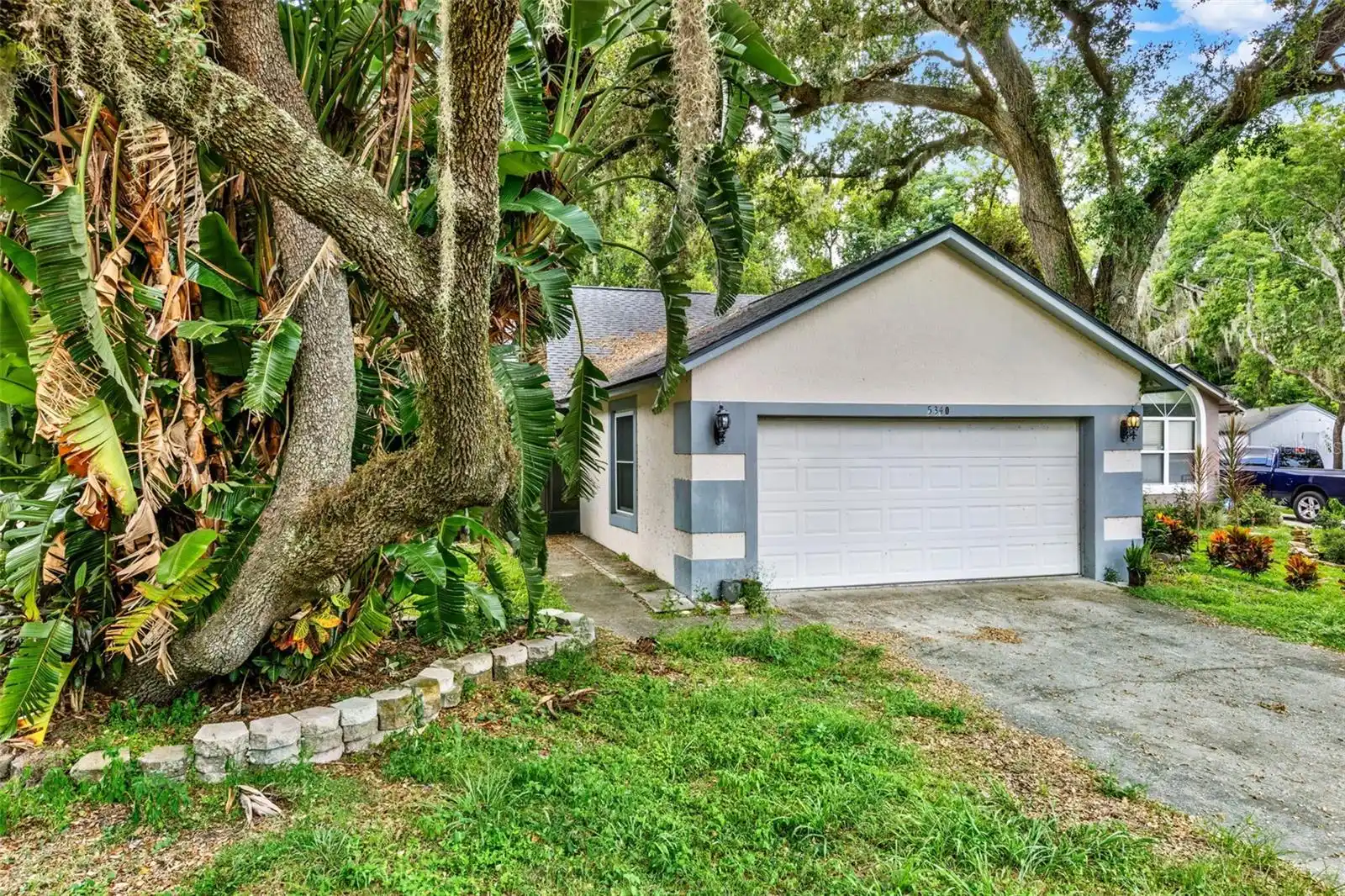 Orlando Real Estate